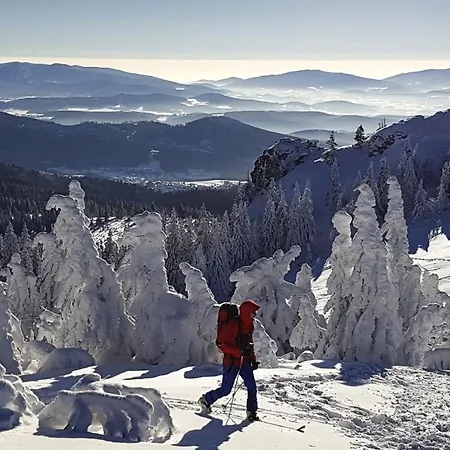 Aspen Vendégház Železná Ruda