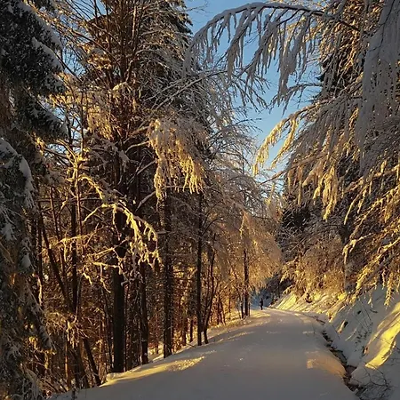 Aspen 3* Železná Ruda