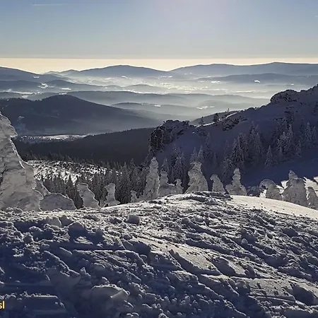 Aspen