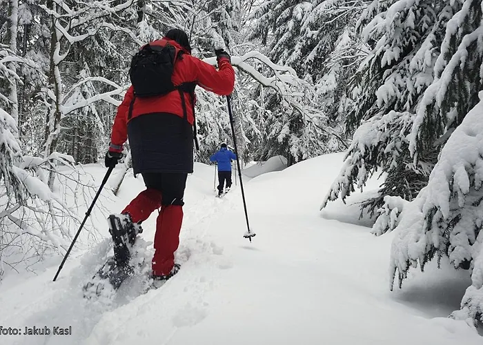 Aspen Affittacamere Železná Ruda