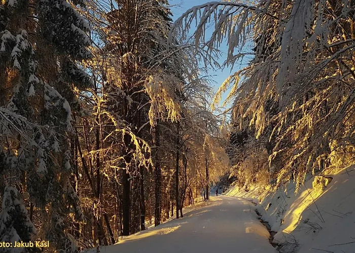 Aspen 3* Železná Ruda