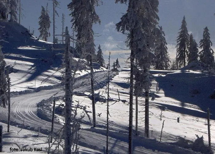 Aspen Affittacamere 3*