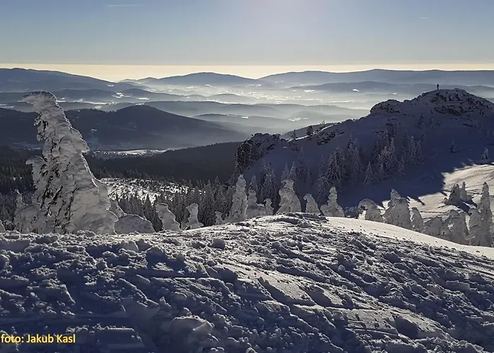 Aspen