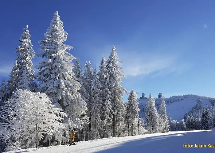 Affittacamere Aspen